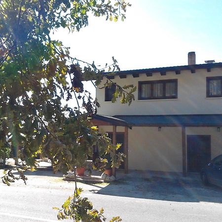 Agrihotel Papaya San Pietro Apostolo Exteriör bild