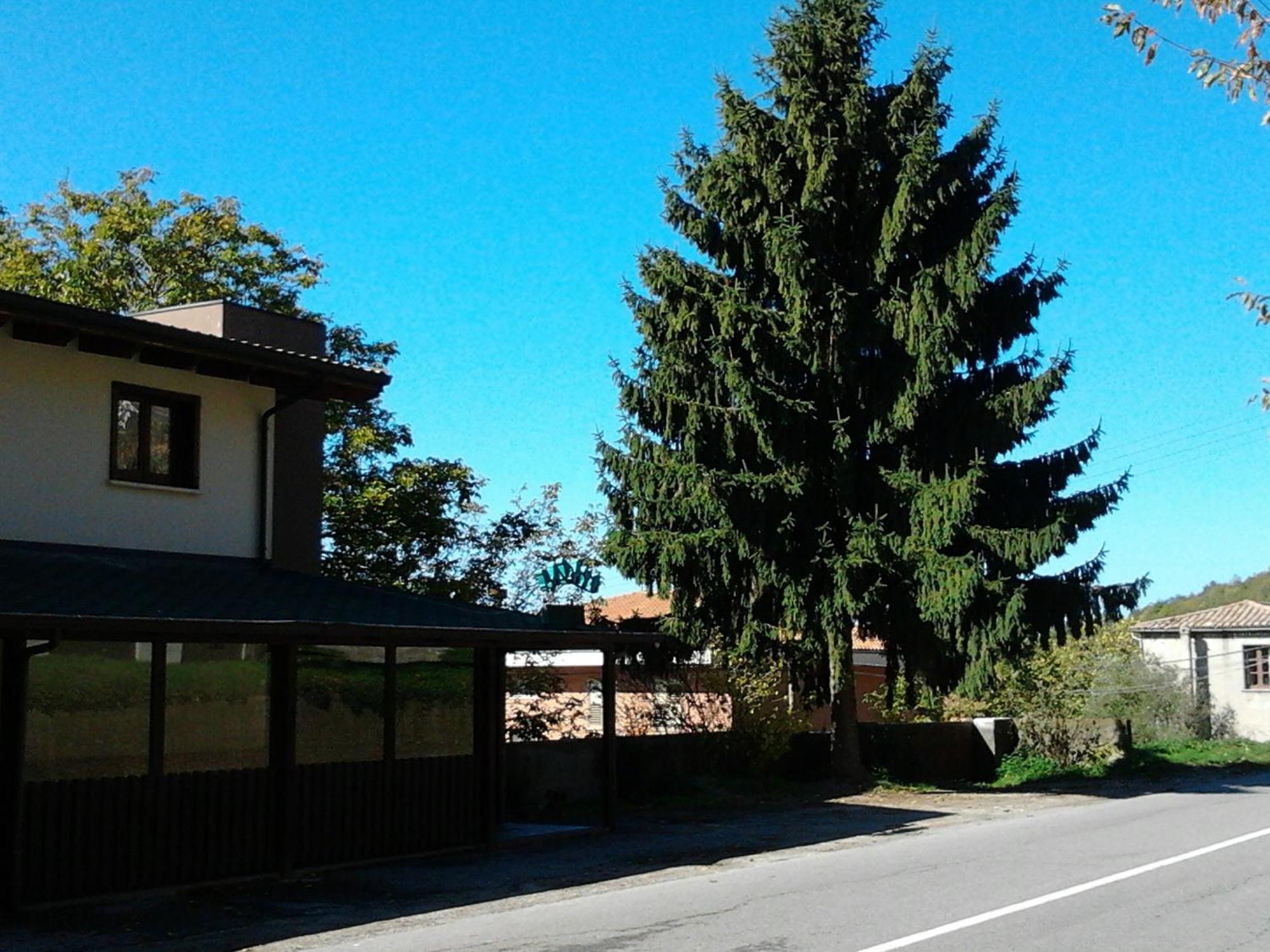 Agrihotel Papaya San Pietro Apostolo Exteriör bild